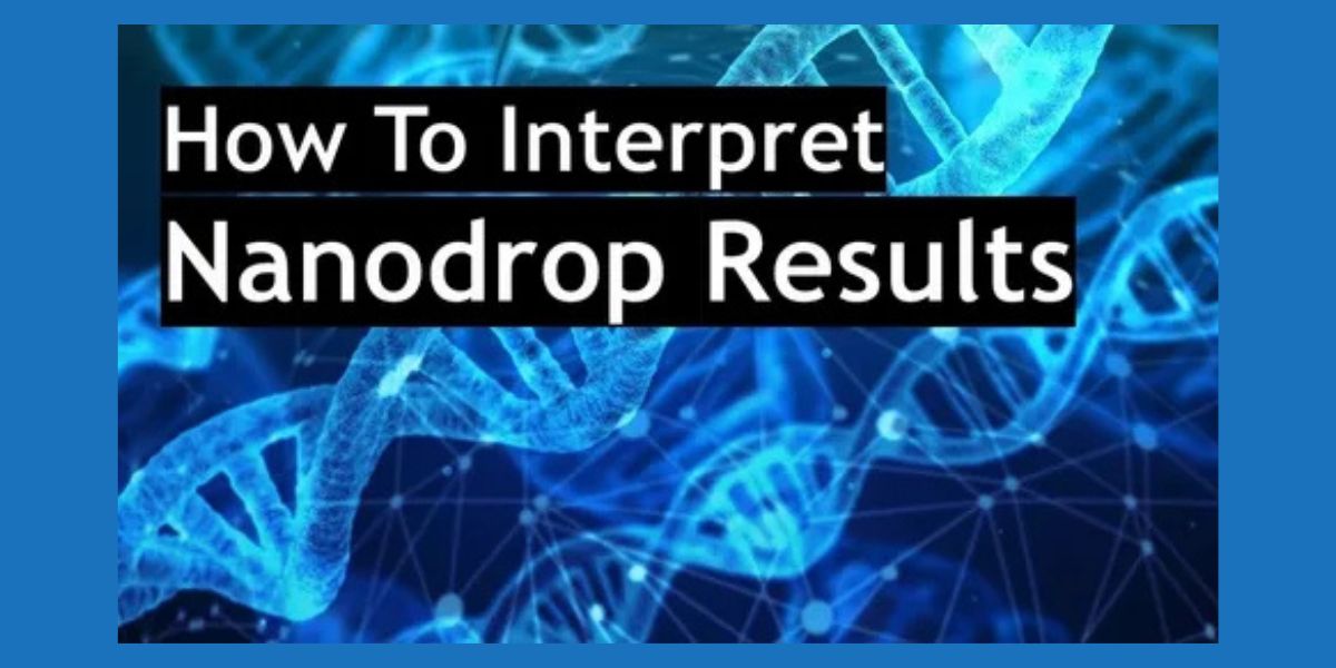  iPhone 18 Release Date: The Most Likely 2026–2027 Timeline, Split-Launch Rumors, and What to Buy (and When)